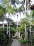 Entry path to Kanaloa #1002
