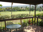 Shady lanai