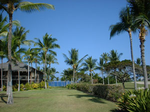 Fairway front setting with ocean beyond