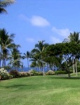Kona Country Club fairway Fairway alongside rental condo