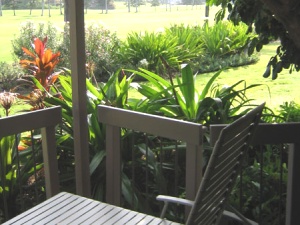 Lanai lounger with garden view